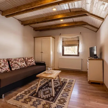 Oda ve Kahvaltı Casa Cu Prispa