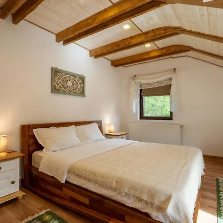 Casa Cu Prispa