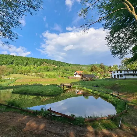 Oda ve Kahvaltı Casa Cu Prispa *